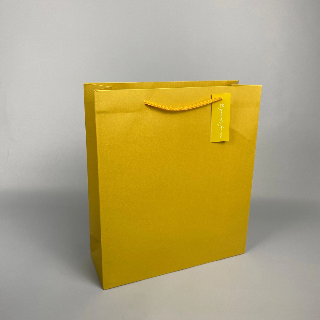 Pearlescent Paper Gift Bag Small 17cm(L)x 8cm(W)x 18.5cm(H) Gold