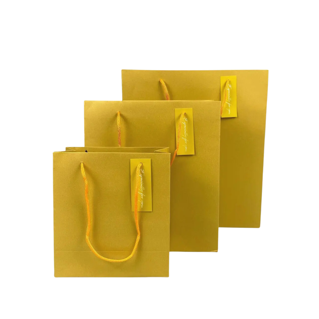 Pearlescent Paper Gift Bag Small 17cm(L)x 8cm(W)x 18.5cm(H) Gold