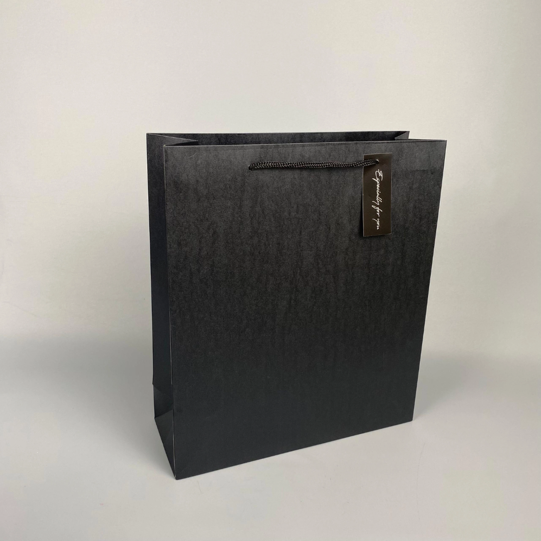 Pearlescent Paper Gift Bag Small 17cm(L)x 8cm(W)x 18.5cm(H) Black