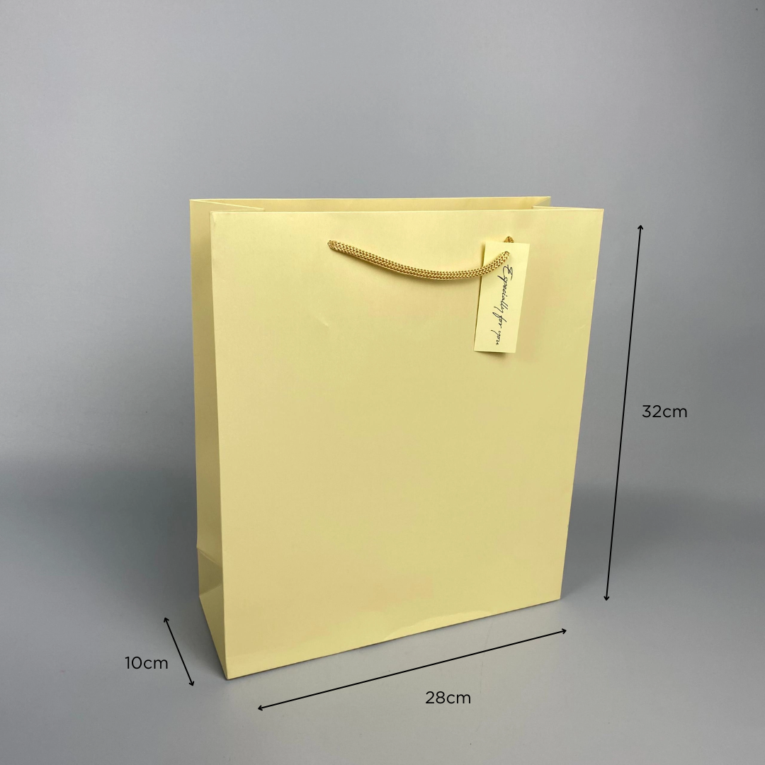 Pearlescent Paper Gift Bag Large 28cm(L)x 10cm(W)x 32cm(H) Cream