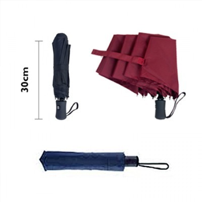 21'' Auto-Open Close 3 Fold Umbrella - Image 3