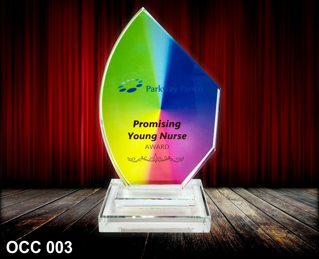 Radiance Crystal Plaque 7*5*14cm