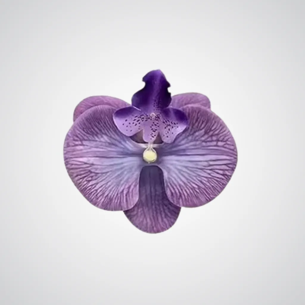 SINAR Gift Set - Ramadan Specials - Image 6