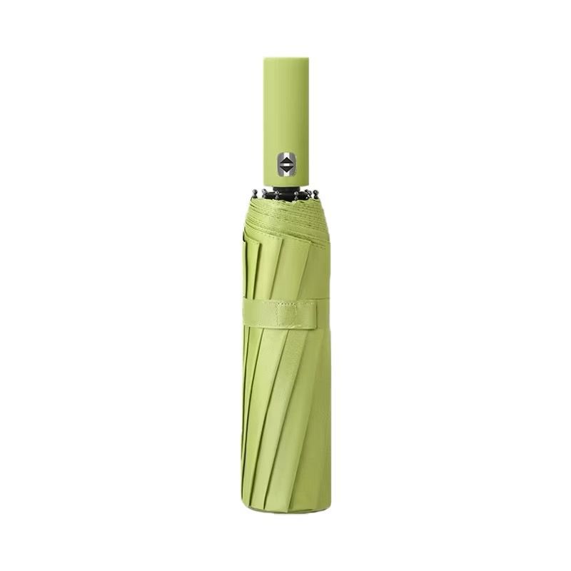 23" Auto-Open 12-Rib Windproof Umbrella | Compact Folding Design