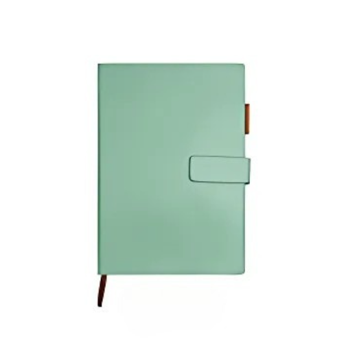 LUMEN | A5 Notebook - PU Leather Hardcover with Magnetic Closure, Bookmark & Pen Loop - 80gsm Cream Paper - 80 Sheets | Mint Green