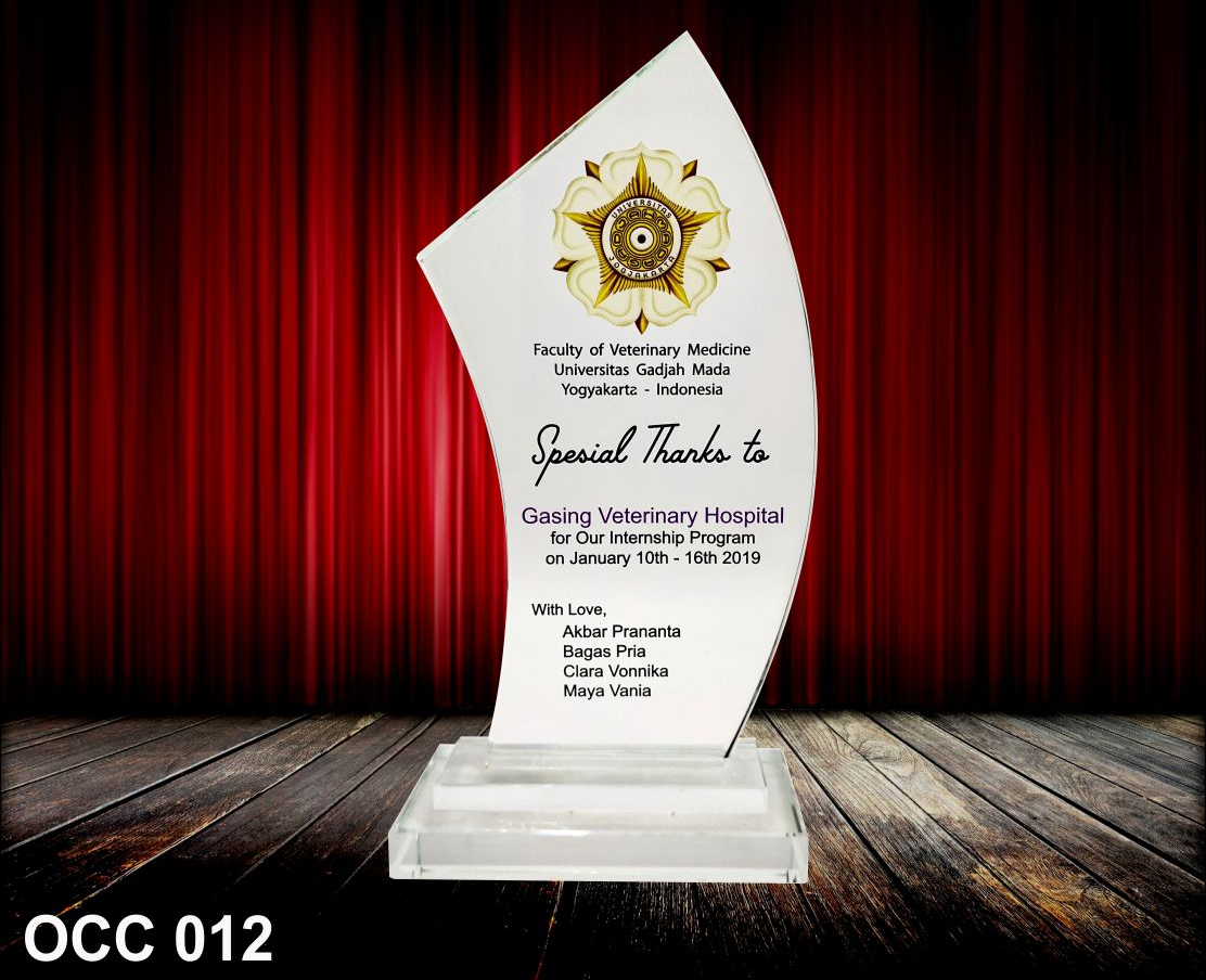 Solstice Arc Crystal Plaque 9*5*20cm - Image 2