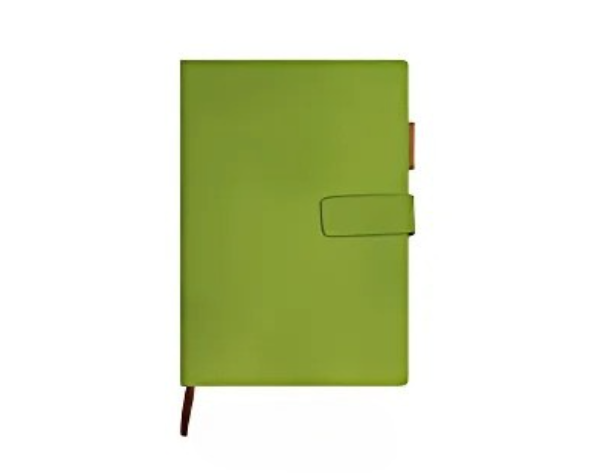 LUMEN | A5 Notebook - PU Leather Hardcover with Magnetic Closure, Bookmark & Pen Loop - 80gsm Cream Paper - 80 Sheets | Apple Green