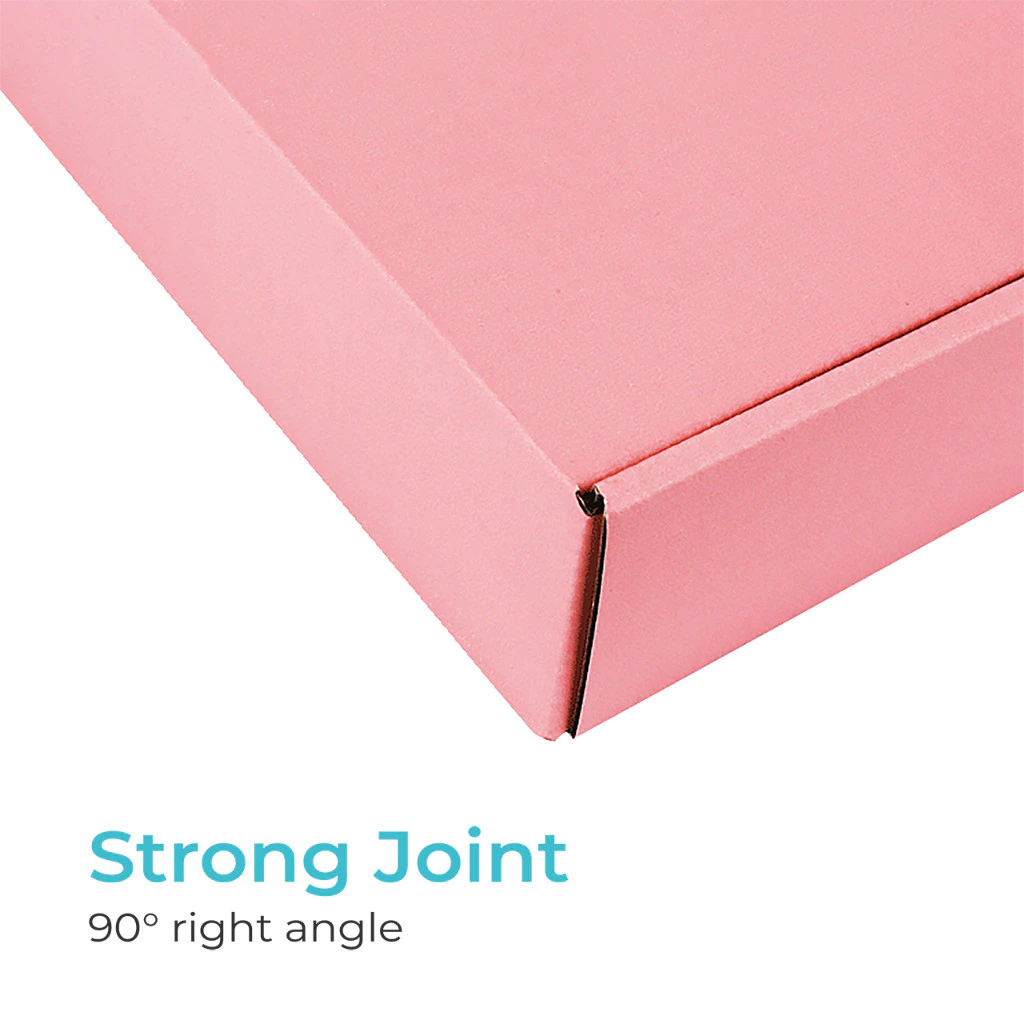 Colour Pizza Box - Pink - 20x14x4cm
