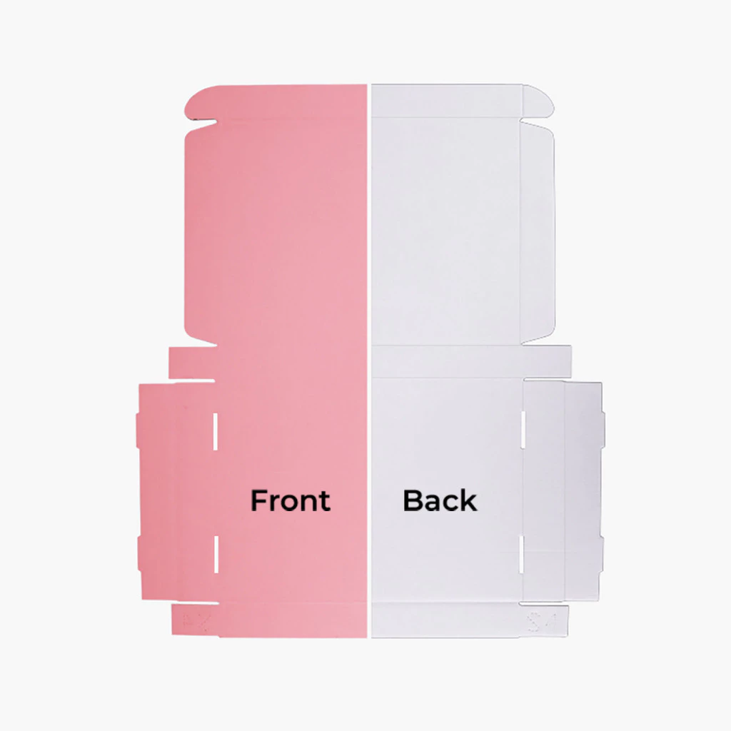 Colour Pizza Box - White - 25x20x7cm